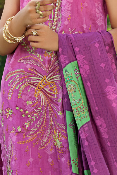 Kashish
