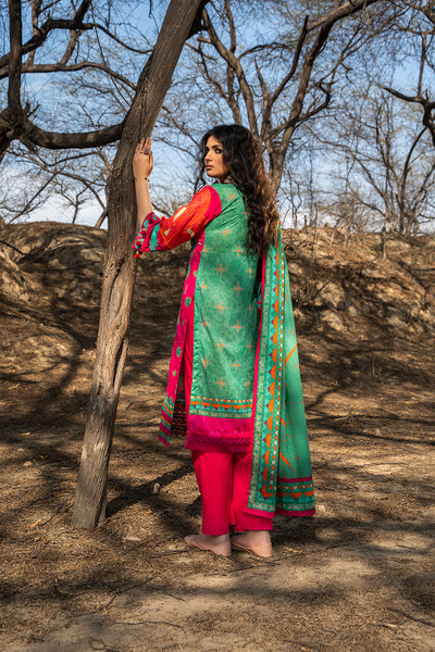 Falak
